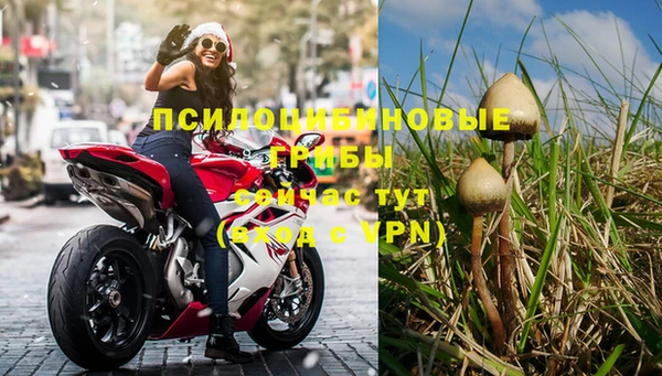 трава Заводоуковск